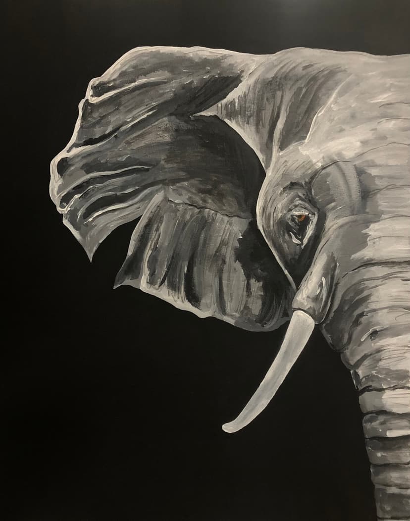 Whispers of the Wild